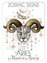 Vector illustration of zodiac signs. Aries Royalty Free Stock Photo